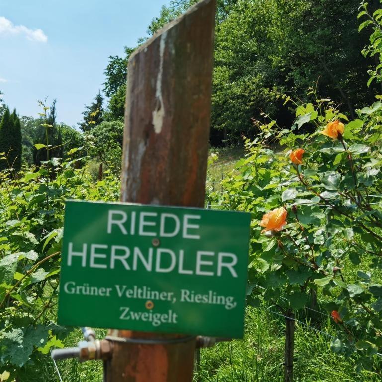 Privatzimmer Am Weinbrunnen Vorchdorf Buitenkant foto