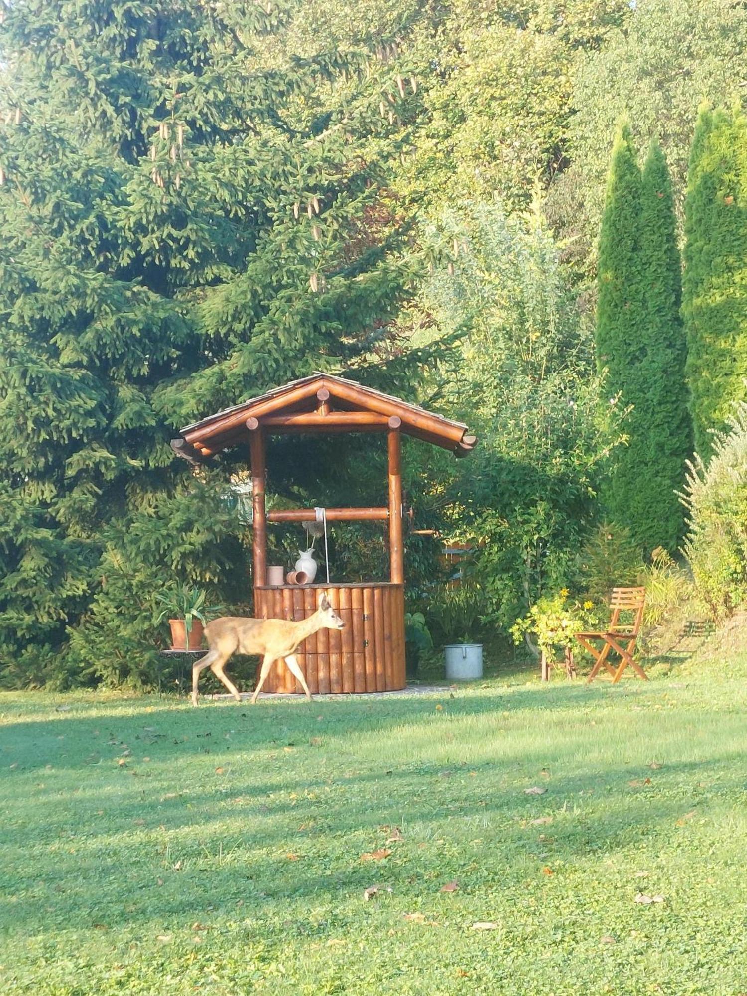 Privatzimmer Am Weinbrunnen Vorchdorf Buitenkant foto